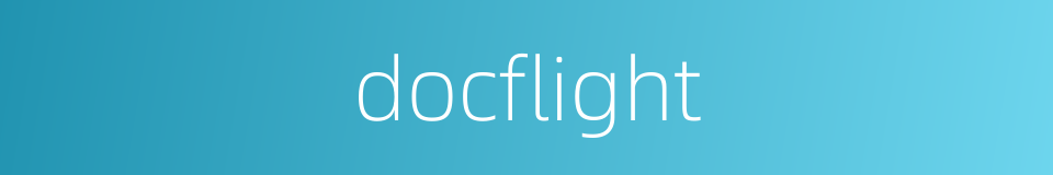 docflight的同义词