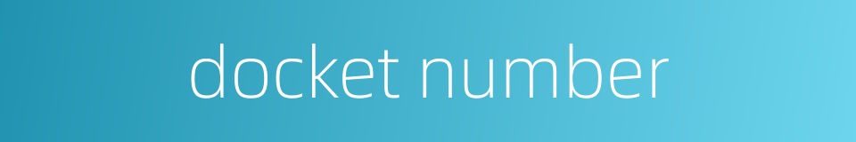docket number的同义词