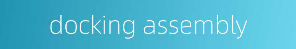 docking assembly的同义词