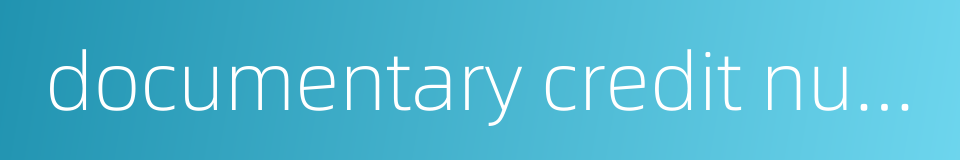 documentary credit number的同义词