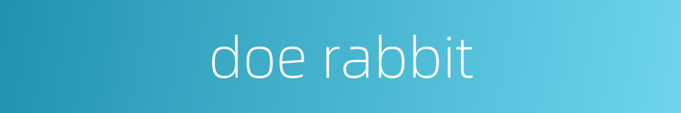 doe rabbit的同义词