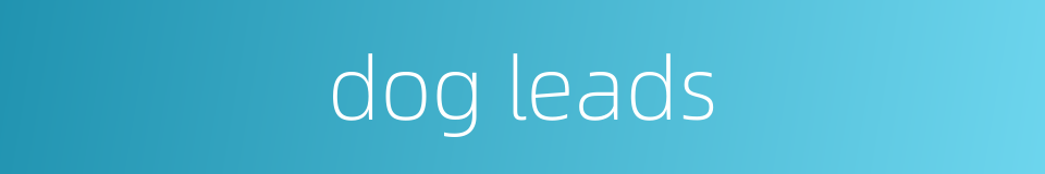 dog leads的同义词