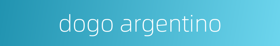dogo argentino的同义词