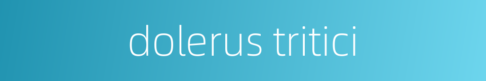 dolerus tritici的同义词