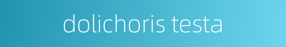 dolichoris testa的同义词