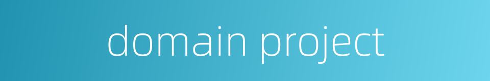 domain project的同义词
