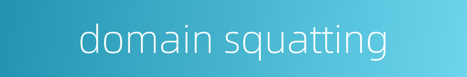 domain squatting的同义词