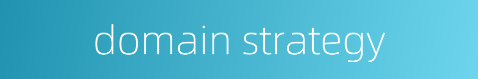 domain strategy的同义词