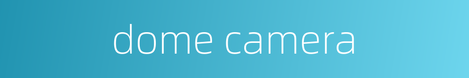 dome camera的同义词