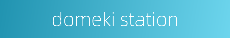 domeki station的同义词