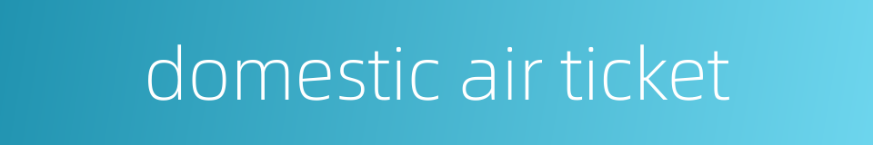 domestic air ticket的同义词