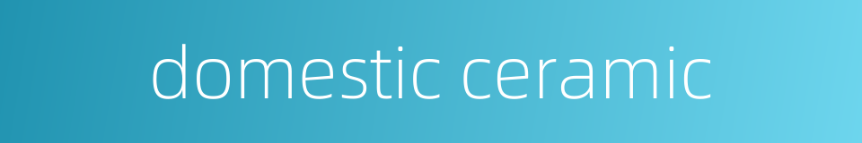 domestic ceramic的同义词