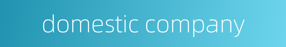 domestic company的同义词