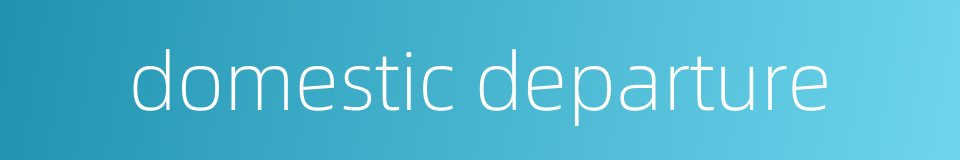 domestic departure的同义词