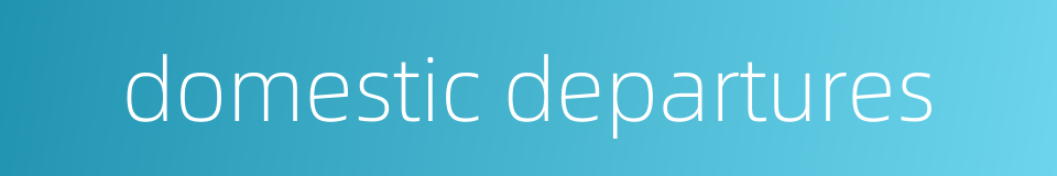 domestic departures的同义词
