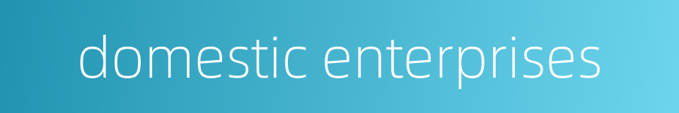 domestic enterprises的同义词