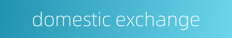 domestic exchange的同义词