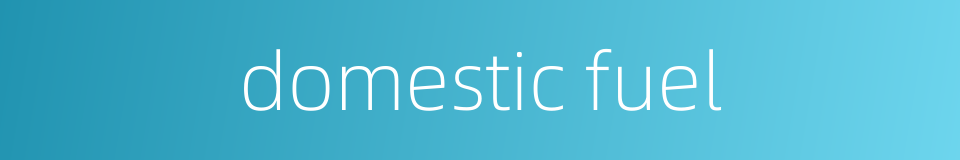 domestic fuel的同义词