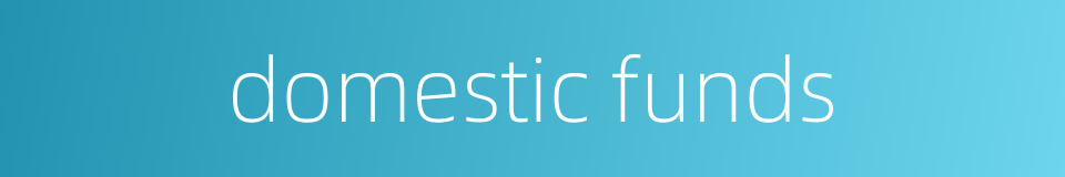 domestic funds的同义词