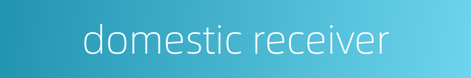 domestic receiver的同义词