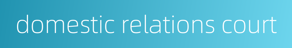 domestic relations court的同义词