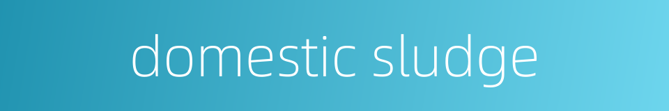 domestic sludge的同义词