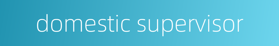 domestic supervisor的同义词