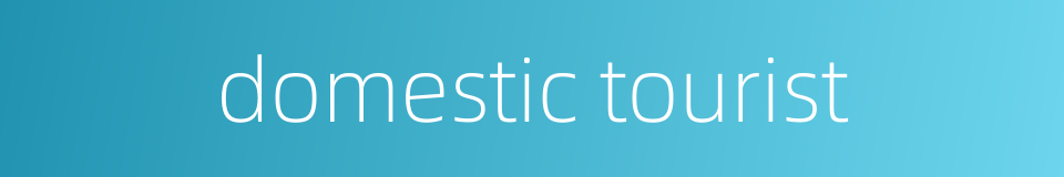 domestic tourist的同义词
