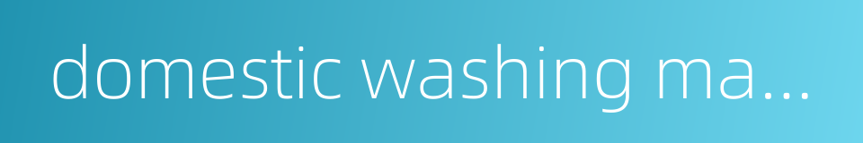 domestic washing machine的同义词