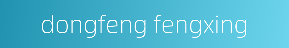 dongfeng fengxing的同义词