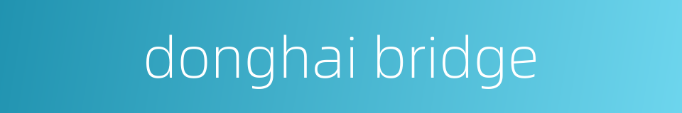 donghai bridge的同义词