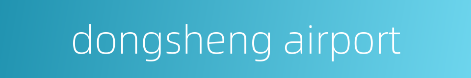 dongsheng airport的同义词