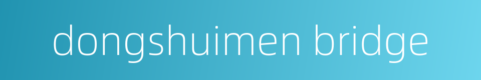 dongshuimen bridge的同义词