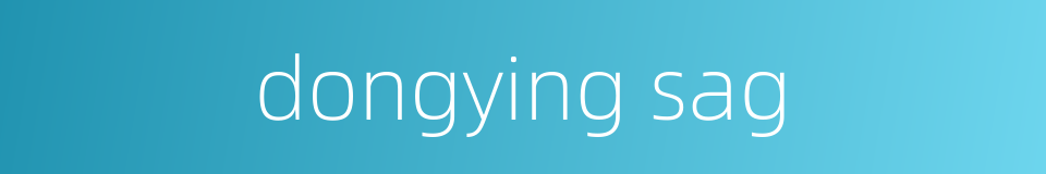 dongying sag的同义词