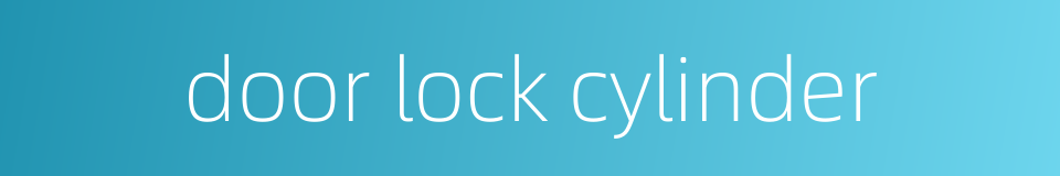 door lock cylinder的同义词