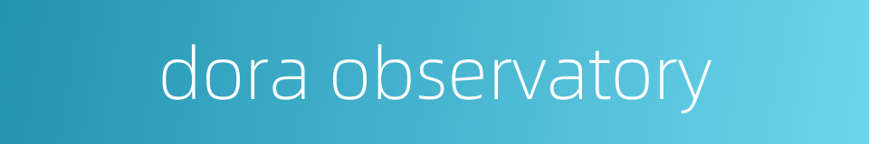 dora observatory的同义词