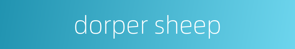 dorper sheep的同义词