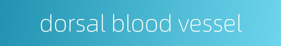 dorsal blood vessel的同义词