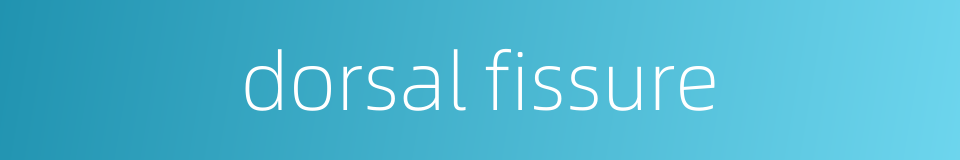 dorsal fissure的同义词