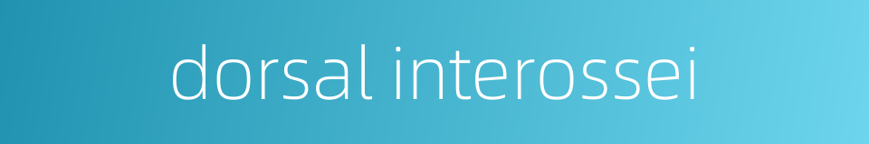 dorsal interossei的同义词