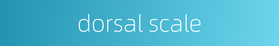 dorsal scale的同义词