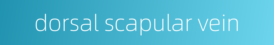 dorsal scapular vein的同义词
