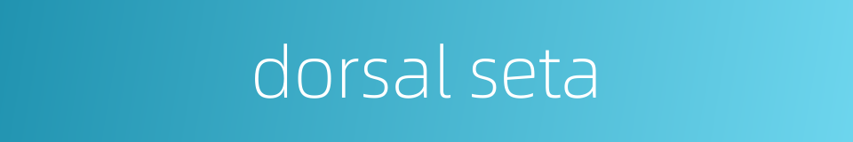 dorsal seta的同义词