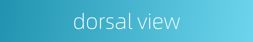 dorsal view的同义词