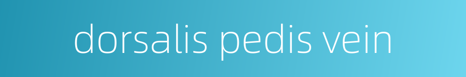 dorsalis pedis vein的同义词