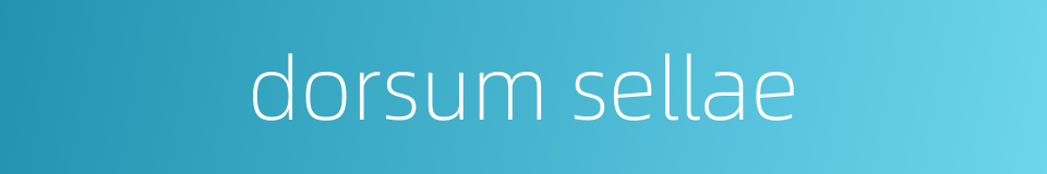 dorsum sellae的同义词