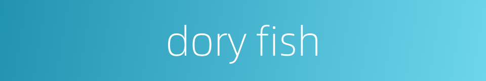 dory fish的同义词
