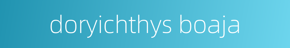 doryichthys boaja的同义词