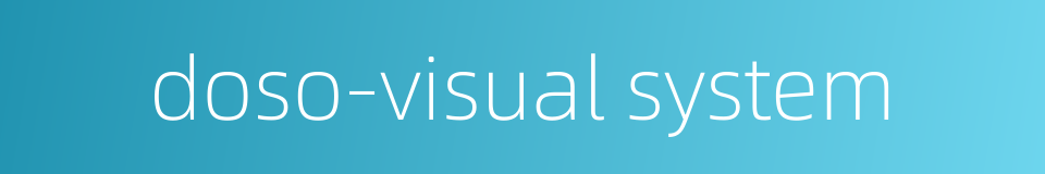 doso-visual system的同义词