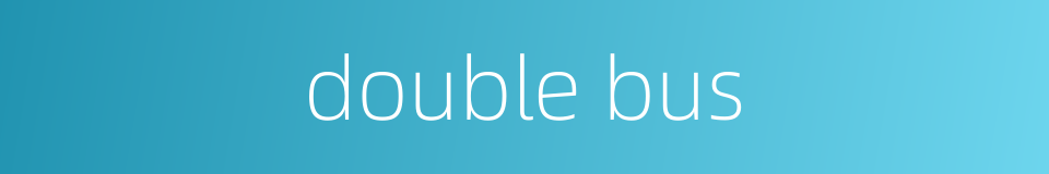 double bus的同义词